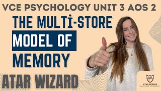 VCE Psychology Unit 3 AOS 2 The Multistore Model of Memory AtkinsonShiffrin [upl. by Perlie]