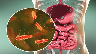 Microorganisms and Humans Commensal and Pathogenic Flora [upl. by Ydnew]