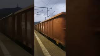 Br 185 mit gemischten Güterzug ➡️ Hagen LennestadtAltenhundemDienstag 12112024  1649 Uhr [upl. by Siegler]