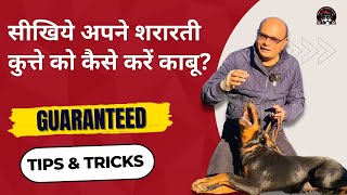 How to control your Hyper And Naughty Dog Effective Easy Tips  Baadal Bhandaari [upl. by Prudy]