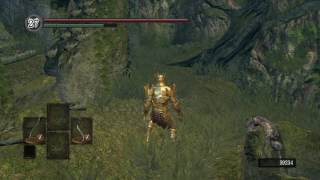 Moveswap  Dark Souls glitch [upl. by Coffee]