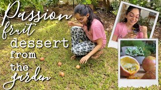 Passion Fruit Dessert Straight from Our Garden  Ahaana Krishna  ASMR [upl. by Nolyaw668]