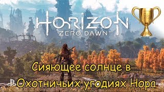 Horizon Zero Dawn  Сияющие солнца во всех угодьях Часть 15 Охотничьи угодья Нора [upl. by Viens]