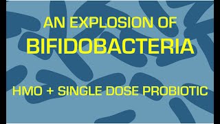 How to grow Bifidobacterium with only one dose of probiotic and HMO [upl. by Erme]