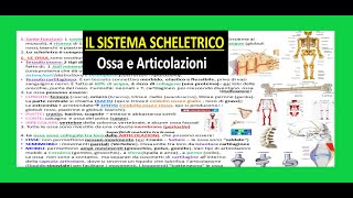 ✅ SISTEMA SCHELETRICO 1  OSSA E ARTICOLAZIONI riassunto semplice [upl. by Whitney]