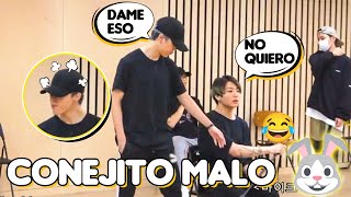 jungkook es un CONEJITO TRAVIESO🐰 aveces olvida que es el menor de BTS [upl. by Inattyrb279]