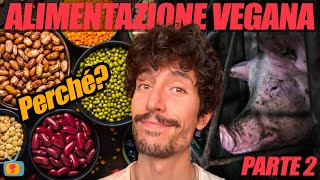 Perché passare a unalimentazione vegan Ep2  Allevamenti e quotBenessere Animalequot [upl. by Alliber]