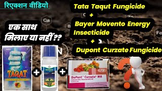 Tata Taqut Fungicide  Bayer Movento Energy insecticide  Dupont Curzate Experiment Video [upl. by Aninad]