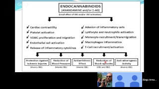 Neurotransmisores y Hormonas [upl. by Werdnaed]