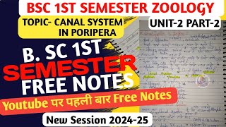 Bsc 1st semester Canal system in poripera in hindi free Notes 2024  Bsc 1st semester notes [upl. by Eentirb]