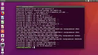 How to Enable SSH in Ubuntu 1804 LTS  Ubuntu 2004 Install opensshserver [upl. by Ylrebmik]