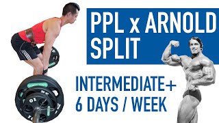 Push Pull Legs x Arnold Split Workout Plan Fully Explained [upl. by Daniella]