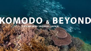 Komodo amp Beyond by Liveaboard  Mermaid I Liveaboard [upl. by Ancilin329]