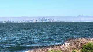 San Francisco California Alameda California October 2024 trending trendingshorts viralvideo [upl. by Lockhart726]