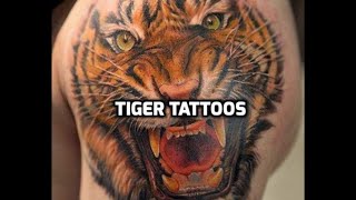 Tiger Tattoos  Best tiger tattoo designs in the world [upl. by Adriaens]