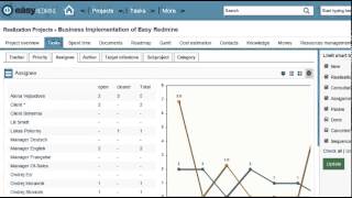 Project statistics in Easy Redmine [upl. by Neysa811]