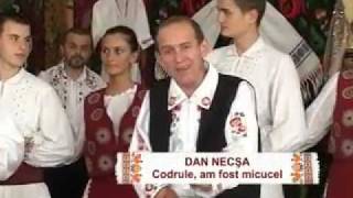 Dan Necsa  Codrule  am fost micucel [upl. by Lowery]