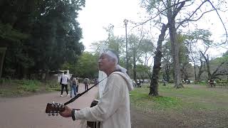 いとしの花子ちゃんYUKIO井の頭公園ライブ [upl. by Gonzalez]