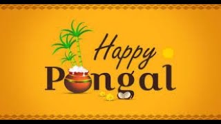 Trending Pongal whatsapp status 2021 happy pongal whatsapp status30 sec whatsapp status [upl. by Agnizn387]