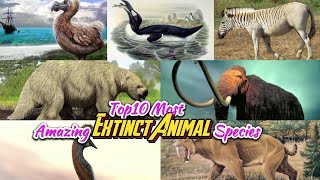 top10 Most Amazing Extinct Animal Species [upl. by Salomie440]