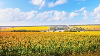 Bellissima musica corale con citazioni ispiratrici ☀️ Trova la tua forza interiore [upl. by Airuam]