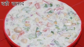 Dahi Salad Recipe In Hindi  दही सलाद  Easy Curd Dish  Yogurt Salad Recipe [upl. by Nahgeem]