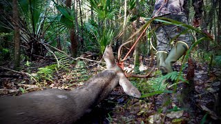 Cacería de venado cola blanca en Florida 2024 [upl. by Nylannej]