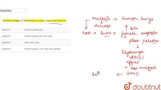 Schizont stages of Plasmodium vivax in man are found in [upl. by Hittel]