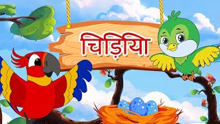 पक्षियों के नाम  Birds Name in Hindi  Hindi Rhymes for Children  Balgeet  Moople TV Hindi [upl. by Ranee]