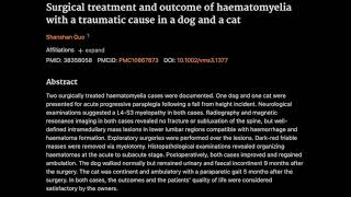 28 Surgical treatment and outcome of haematomyelia with a traumatic cause in a dog and a cat [upl. by Jarred]