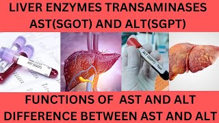 LIVER TRANSAMINASES AST SGOT AND ALTSGPTNORMAL RANGES FUNCTIONS AND CAUSES OF HIGH AST AND ALT [upl. by Haldan]