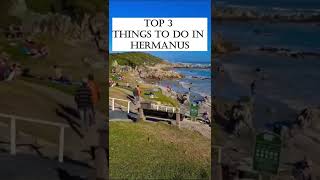 Top 3 Things to do in Hermanus [upl. by Farver]