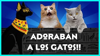 ¿POR QUÉ LOS EGIPCIOS ADORABAN A LOS GATOS [upl. by Turk]