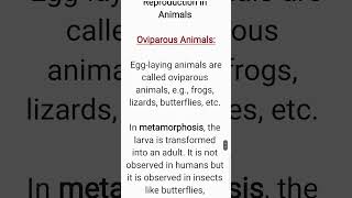 What are Oviparous Animals Class 8 Science Chapter 9 [upl. by Ag]