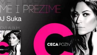 Ceca  Ime i prezime Sukas Club Remix 2013 [upl. by Ycrad]