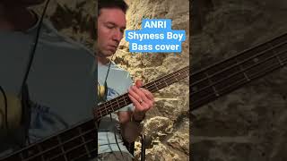 ANRI 杏里  Shyness Boy  Bass cover [upl. by Cartwright]