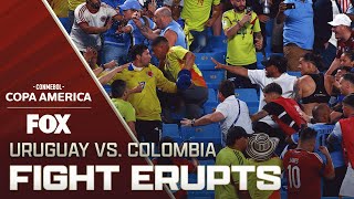 Darwin Núñez Uruguay players fight with Colombian fans in the stands  Copa América 2024 [upl. by Marashio]