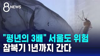 quot평년의 3배quot 서울도 위험…잠복기 1년까지 간다  SBS 8뉴스 [upl. by Gracia357]