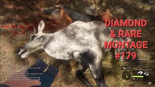 Diamond and Rare Montage 179 The Hunter Call of the Wild Montage [upl. by Morgana]