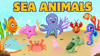 SEA ANIMALS  Learn Sea Animals for KIDS  Kids English Vocabulary  Kids Educational Video [upl. by Yesnil420]