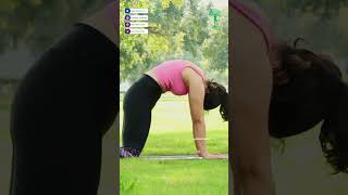 Marjariasana CatCow Pose for Beginners Best Pose for Spine Flexibility and Relaxation yoga [upl. by Miza]