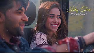 Ishq Tera Song Slowed and Reverb Song  Guru Randhawa [upl. by Semmes]