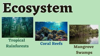 Ecosystem Tropical Rainforests Coral Reefs and Mangrove Swamps Science 6 [upl. by Barrus]