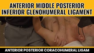 Anterior Middle Posterior Inferior Glenohumeral ligament Anterior Posterior Coracohumeral Ligam [upl. by Conah]