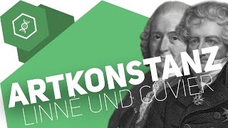 Theorie der Artkonstanz – Linné und Cuvier – Evolution [upl. by Darra]