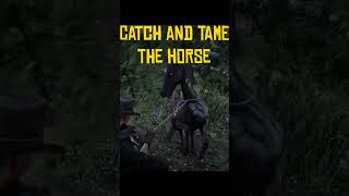 LEGENDARY HORSES in RDR2 [upl. by Zennie]