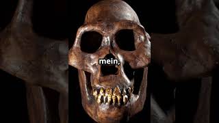 Evolution of Modern Humans 🐵 humanevolution Historyofhumans Prehistory Mehracle [upl. by Rotce]