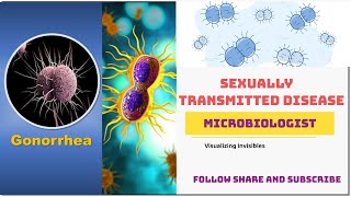 Sexually Transmitted Diseases STDs  Reproductive Health syphilis chlamydia gonorrhoeae herpes [upl. by Persse591]