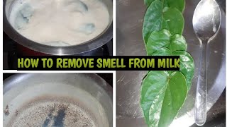 How To Remove Smell From Milk Of Any Reason [upl. by Ybok]