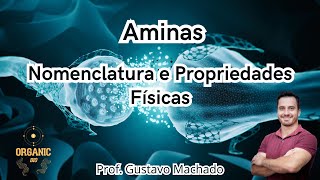 Aminas  Nomenclatura e Propriedades Físicas [upl. by Yr639]